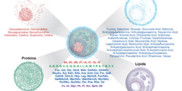 68 Molecules May Hold the Key to Understanding Disease
