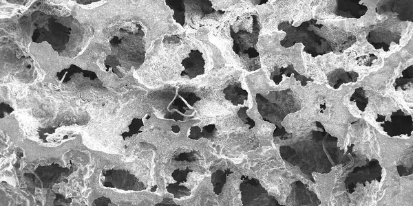 Metal Memory Foam Can Deform 10 Percent And Remembers Its Shape