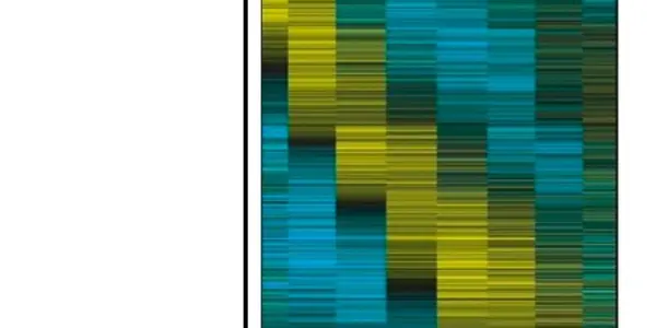 What Makes Cells Tick? Reverse Engineering Biological Cycles