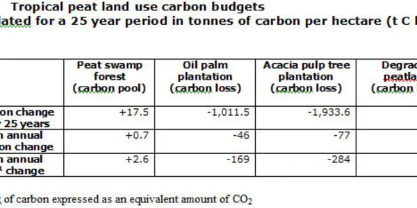 The Palm Oil Impact On Peatlands: A Rise In CO2