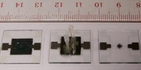 Breakthrough: New Microchip Allows For Portable DNA Testing At Crime Scenes