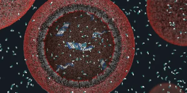 Could These Protocells Tell Us About Earth's Earliest Cells?