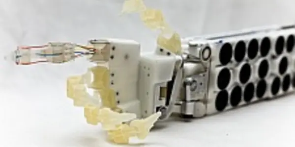 Biomimetics Plus An Electronic Cerebellum Equals Robo Habilis