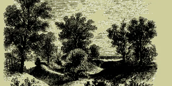 Fort Miami Not A Fort At All, Say Archaeologists