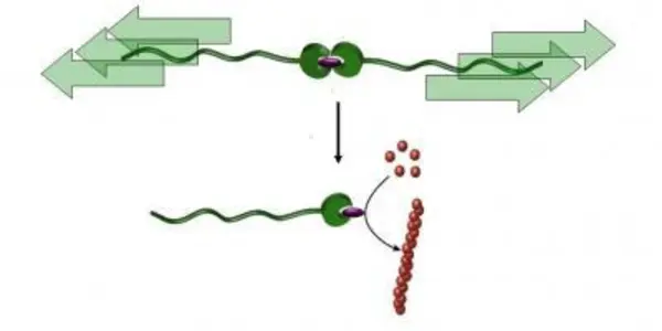 A Molecular 'Ripcord' For Chemical Reactions
