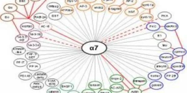 Nicotine may have more profound impact than previously thought