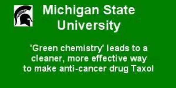 'Green chemistry' could ease manufacture, boost usefulness of cancer drug