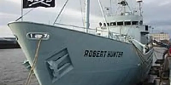 Activists Offer For GPS Coordinates Of Japanese Whalers