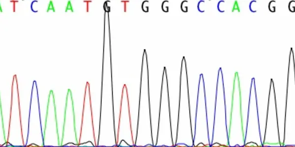 What Next Generation DNA Sequencing Means For You