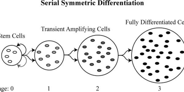 Cellular Natural Selection And Somatic Evolution