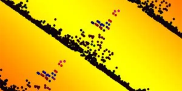 Which Small And Large DNA Variants In Our Genome Matter?