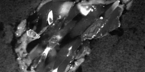 The Origin Of Chemistry In Circumstellar Space