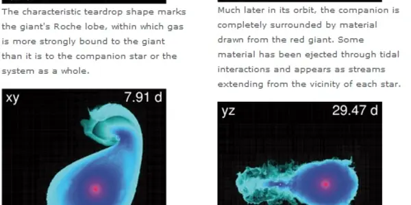 The Evolution of Binary Stars and Acts of "Stellar Cannibalism"