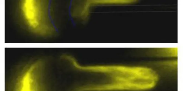 Stem Cell Nuclei Are Soft 'Hard Drives'