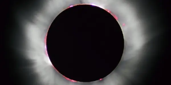 Magnetic Fountains On The Sun