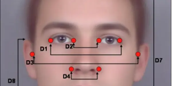 Golden Ratio Attractiveness Crosses Cultural Boundaries