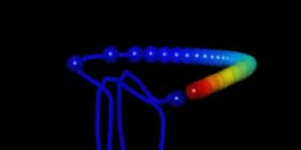 How Does Your Brain Tell Time? Study Challenges Theory Of Inner Clock