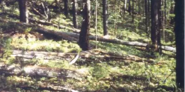 1908 Tunguska Catastrophe - New Evidence Supports Meteorite Theory