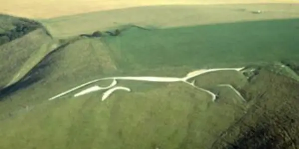 The Genetics Of White Horses