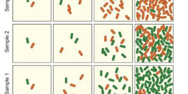 Sometimes Epigenetic Multistability Is Nature's Friend