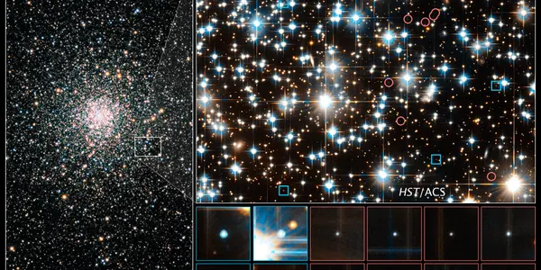 NGC 6397 Shows The 'Natal Kick' Of White Dwarf Stars