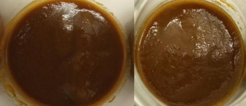 ketchup_with_algae_supplement