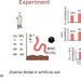 biochar_x_for_soil_remediation_of_copper_sulfate