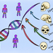 the_ghost_in_our_dna_machine