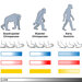 Heel-Toe Mobility Separated Humans From Lesser Primates