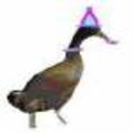 Profile picture for user John Pavon