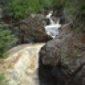 Profile picture for user morgan_giddings