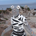 Profile picture for user Danna Staaf