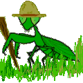 Profile picture for user Mark-n-PRMantis