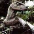 Profile picture for user Craig Dillon
