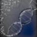 Profile picture for user boffin