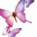 Profile picture for user Daisy Zhang