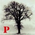 Profile picture for user Luis Azevedo Rodrigues