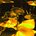 Profile picture for user CJE
