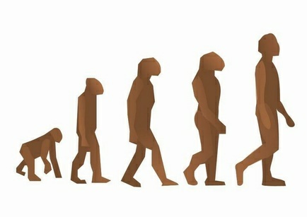 Study: Evolution Is Not Random