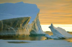 Break-up Of Antarctic Ice May Expose Marine Life To More Sunlight And Alter Food Chain